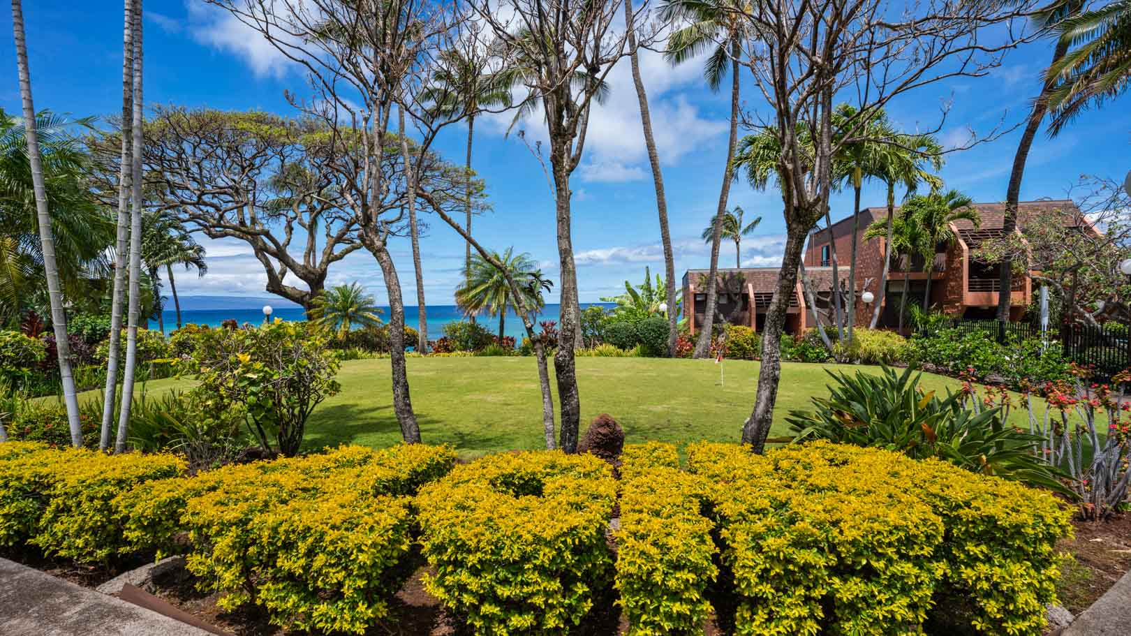 A tropical view of the greenery at VRI's Kuleana Club in Maui, Hawaii.